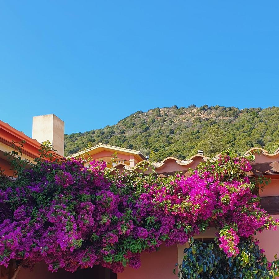 B&B La Vela Киа Екстериор снимка