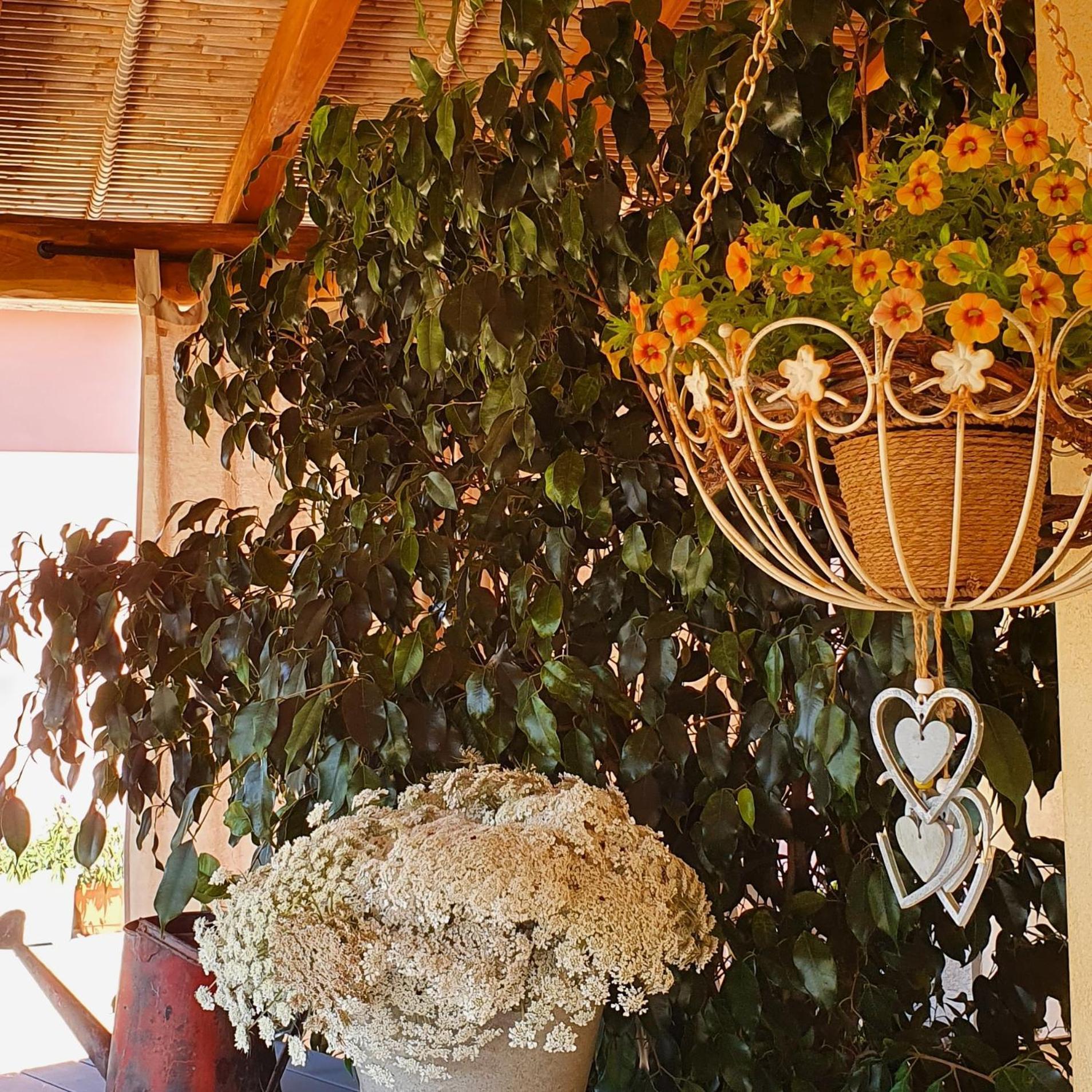 B&B La Vela Киа Екстериор снимка
