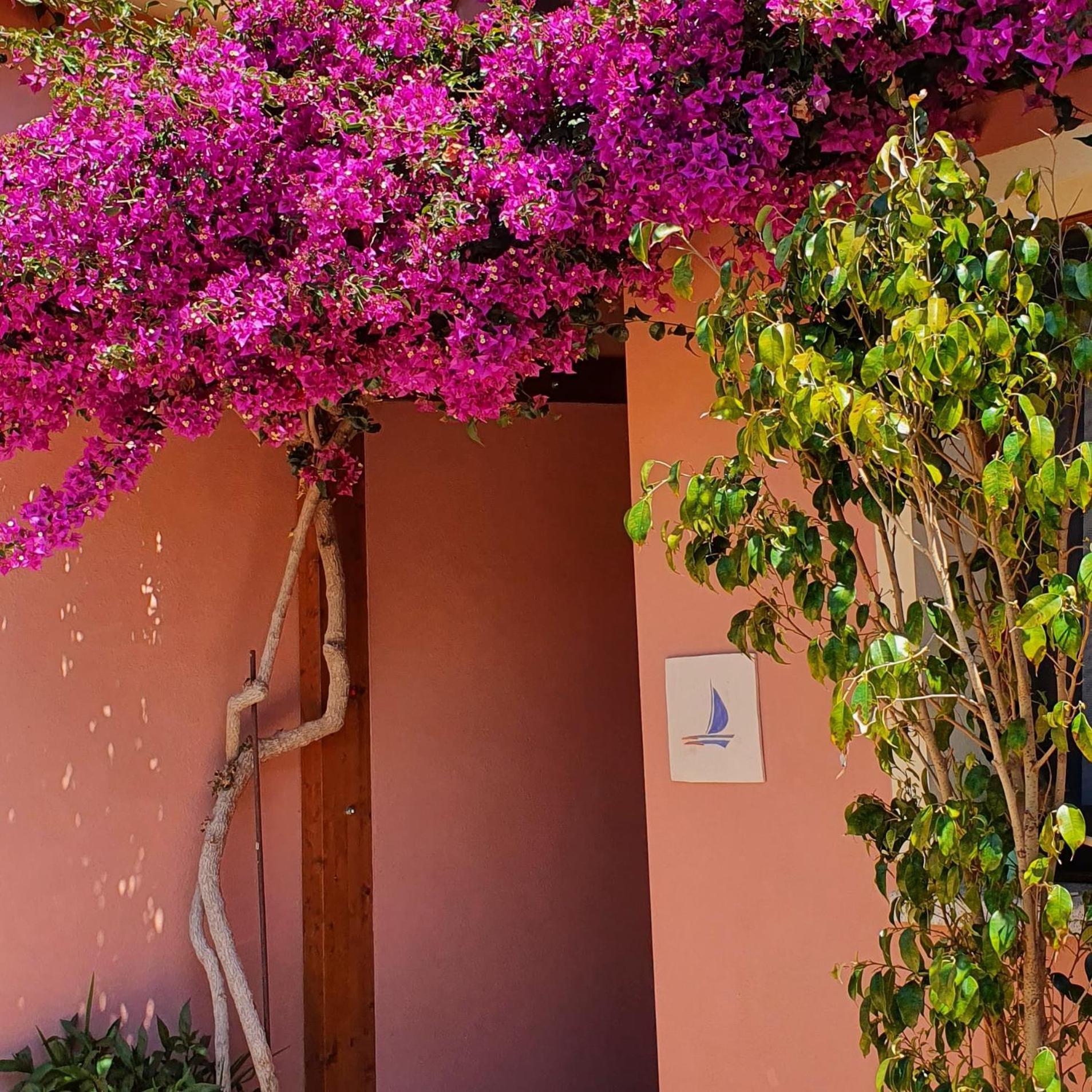 B&B La Vela Киа Екстериор снимка